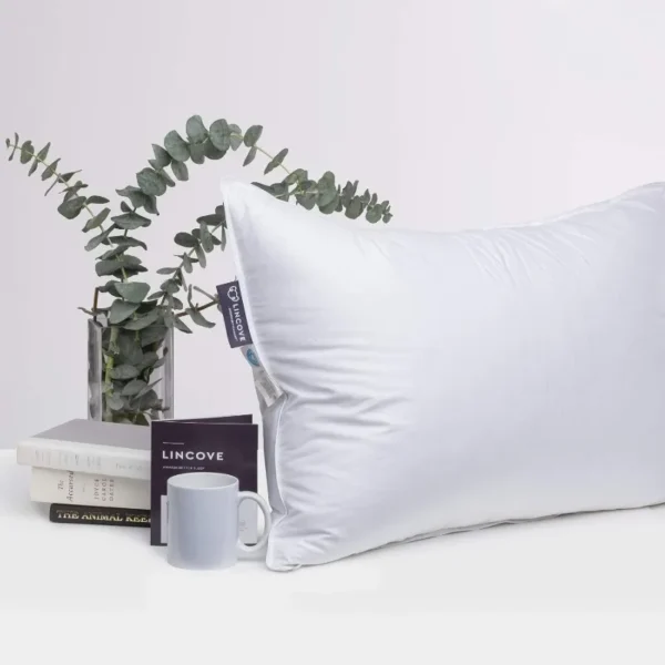 Premium Down Pillow for Sleep Apnea Relief with Pillow Protector - Image 3